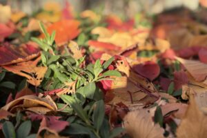 サムネイル：急募！カウンセラー・研修講師募集説明会